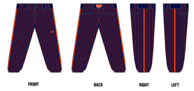 Wayne County High School Stacheman Elite Custom Softball Pants #FP2