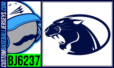Amherst Panthers