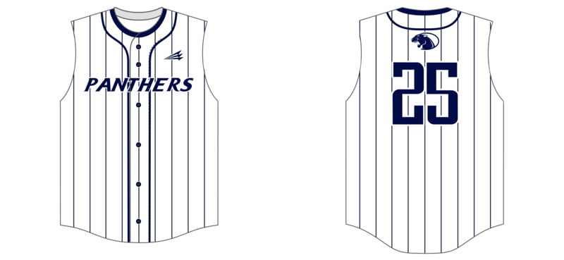 Amherst Panthers Custom NanoDri Baseball Jersey #J4B