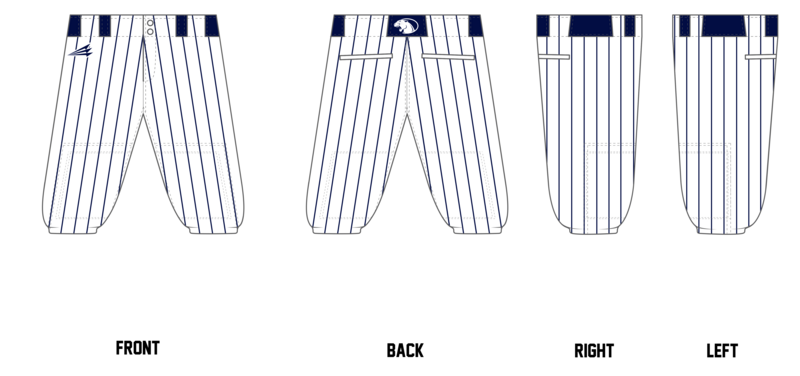 Amherst Panthers Custom Knicker Baseball Pant #BP4B