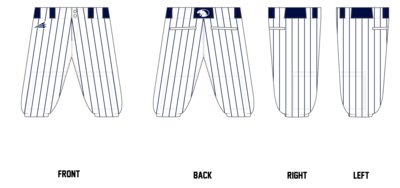 Amherst Panthers Custom Knicker Baseball Pant #BP4B
