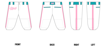 Team Xtreme Custom Knicker Baseball Pant #BP21b