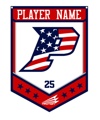 Patriots (Maniskas) Custom Banner #CB1