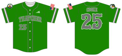 Thatcher Eagles Custom Pro Premier Baseball Jersey #J6B