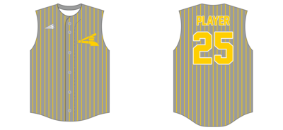 STIX Custom HexaFlex Baseball Jersey #J4