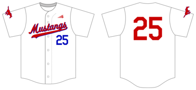 New Providence Mustangs Custom Hexaflex Baseball Jersey #J2