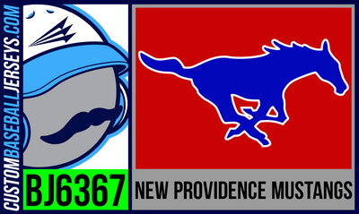 New Providence Mustangs
