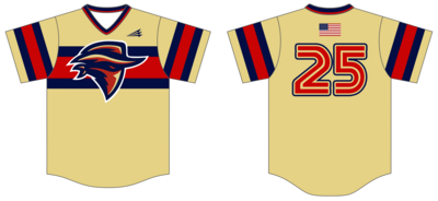 Boise Bandits Custom Hexaflex Baseball Jersey #J1B