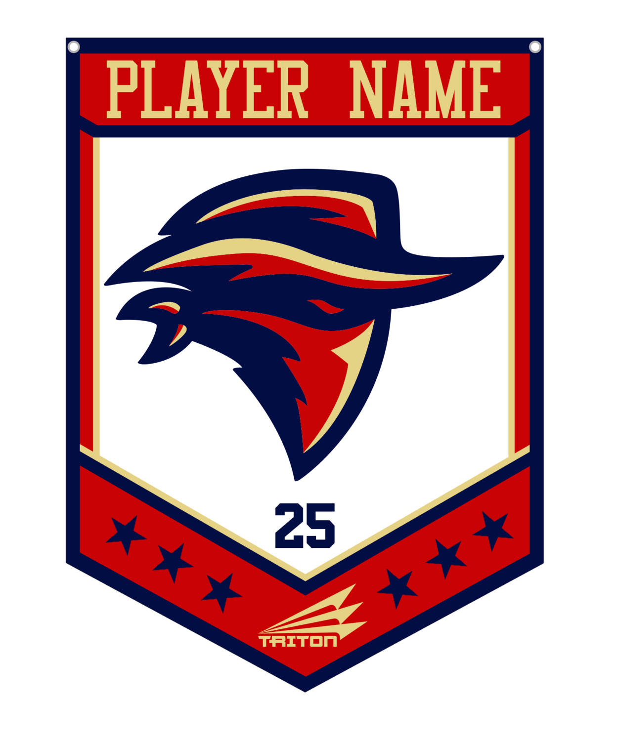 Boise Bandits Custom Banner #CB1