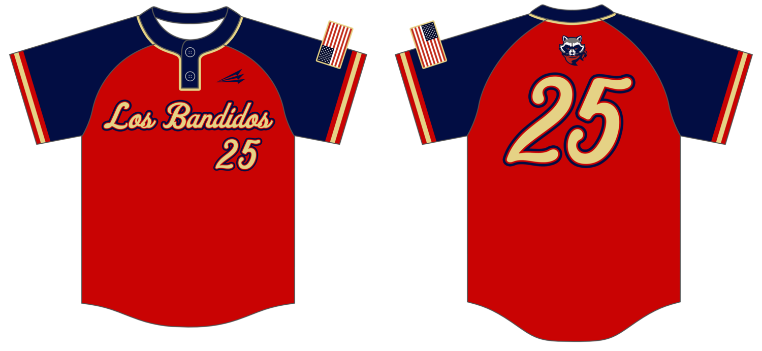 Boise Bandits Custom Nanodri Baseball Jersey #J3B