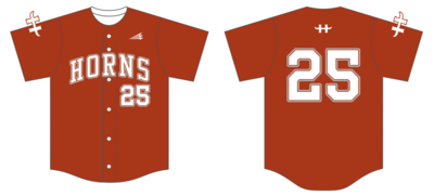 Austin Horns Custom NanoDri Baseball Jersey #J16D