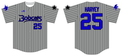 TCR Bobcats Custom NanoDri Baseball Jersey #J5C
