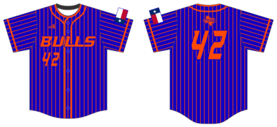PTG Bulls Custom HexaFlex Baseball Jersey #J5B