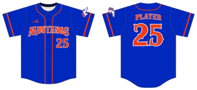 Iron Horse Mustangs Custom HexaFlex Baseball Jersey #J8A