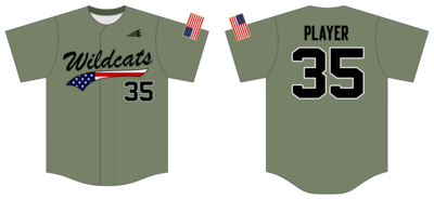 Arkansas Wildcats Custom NanoDri Baseball Jersey #J4B