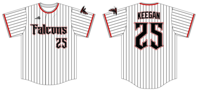 SJ FALCONS Custom HexaFlex Baseball Jersey #J3