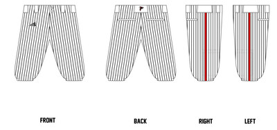 SJ FALCONS Custom Knickers Baseball Pant #BP3C