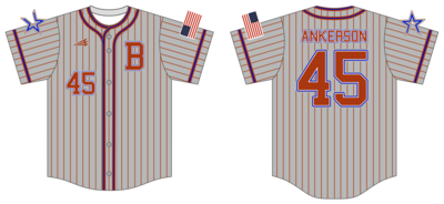 Beehive Custom HexaFlex Baseball Jersey #J5