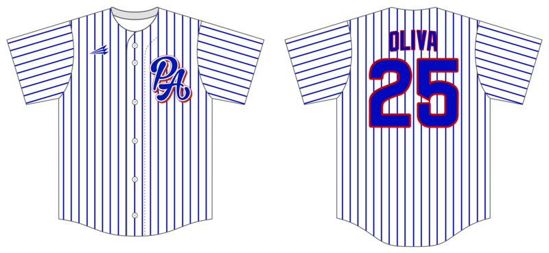 PA Playmakers Custom Hexaflex Baseball Jersey #J18