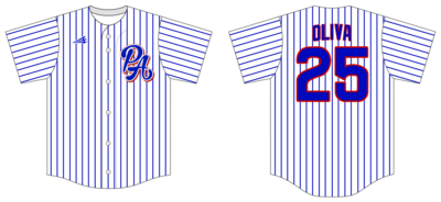 PA Playmakers Custom Hexaflex Baseball Jersey #J18