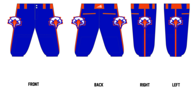 Newton War Eagles Custom Knicker Baseball Pant #BP9c