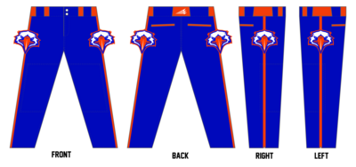 Newton War Eagles Custom Relaxed Baseball Pant #BP9d