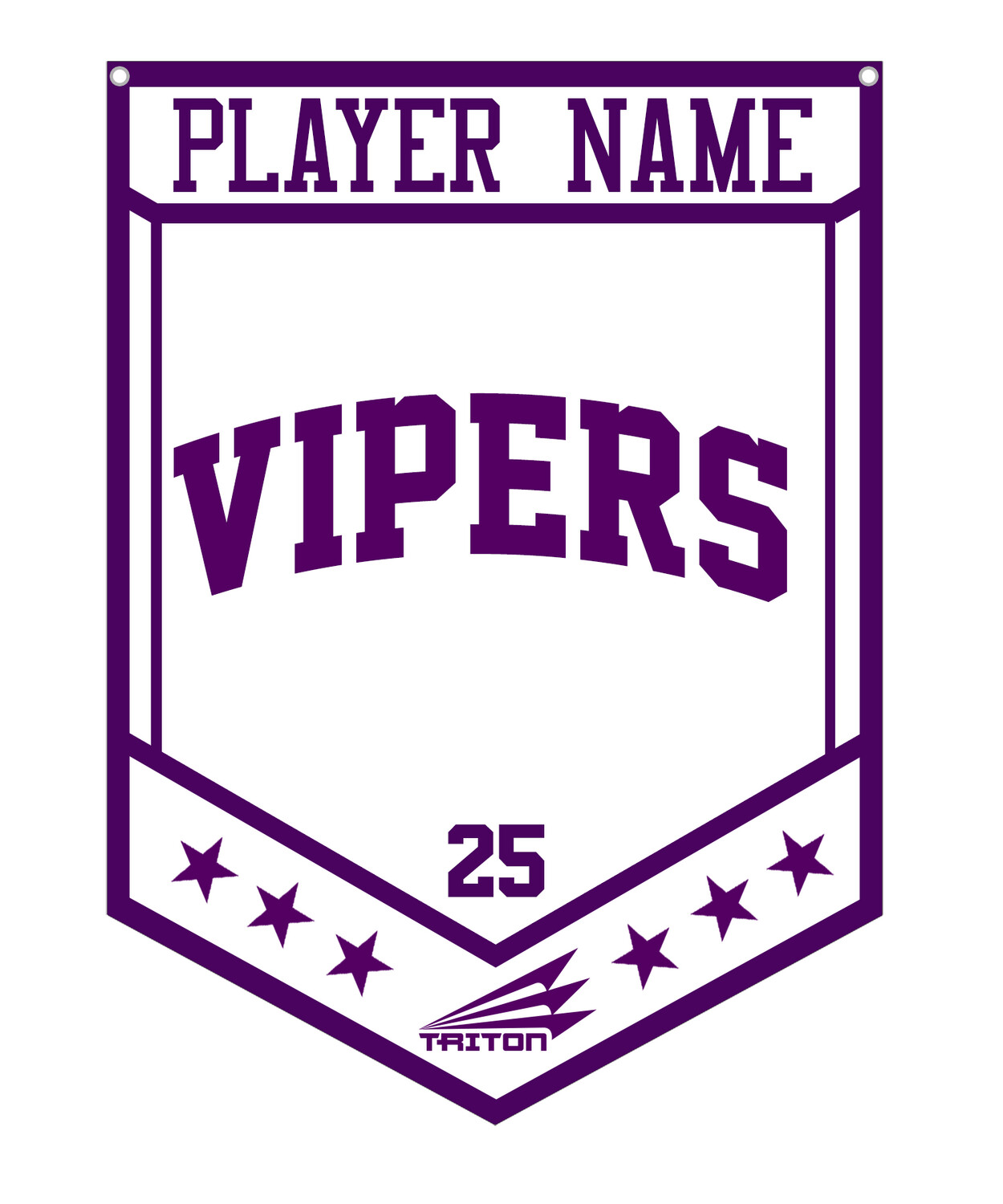 DC Vipers Custom Banner #CB1