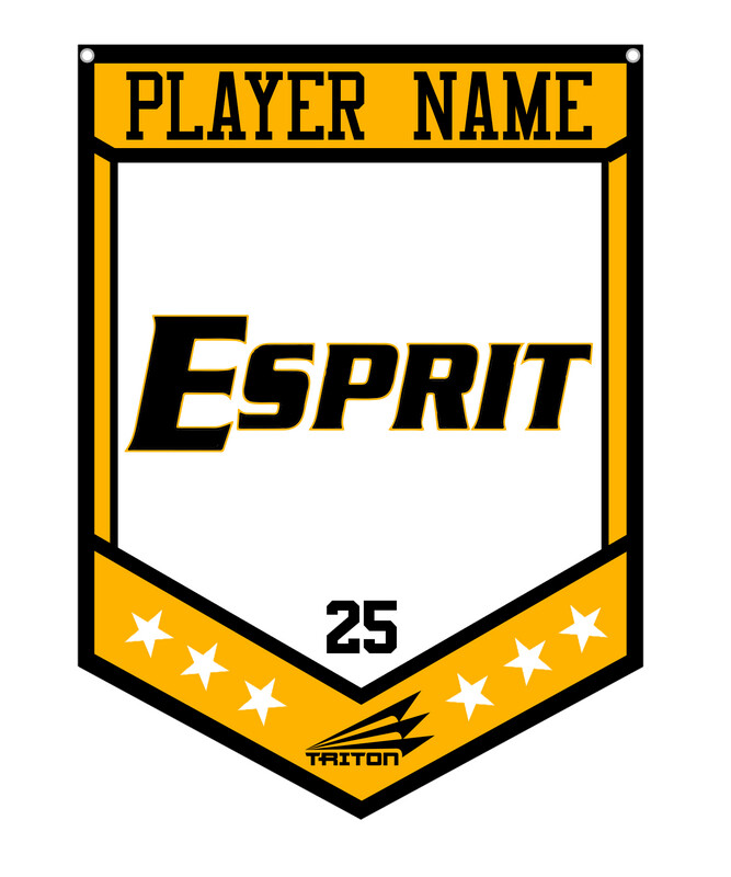 Esprit Custom Banner #CB1