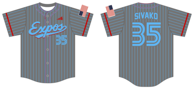 Steel Valley Expos Custom HexaFlex Baseball Jersey #J1C