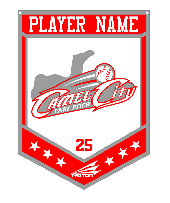 Camel City Fastpitch Custom Banner #CB1