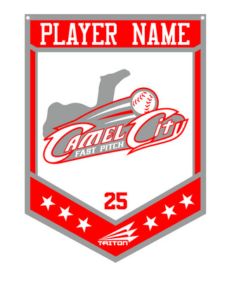Camel City Fastpitch Custom Banner #CB1