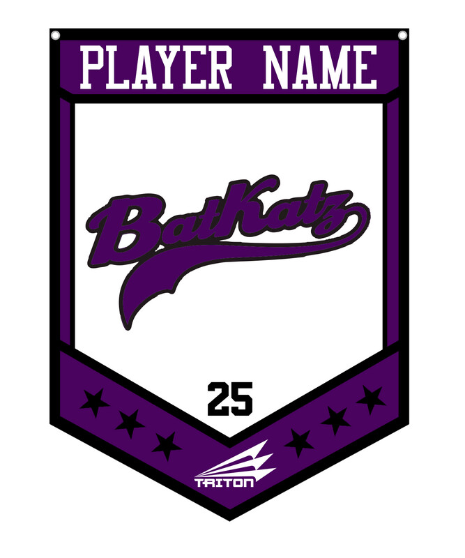 BATKATZ Custom Banner #CB1