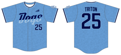 Blue Collar Bulldogs Custom HexaFlex Baseball Jersey #J7E