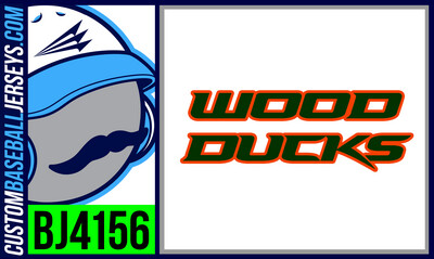 Wood Ducks