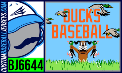 Twin Cities Ducks