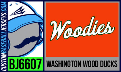 Washington Wood Ducks