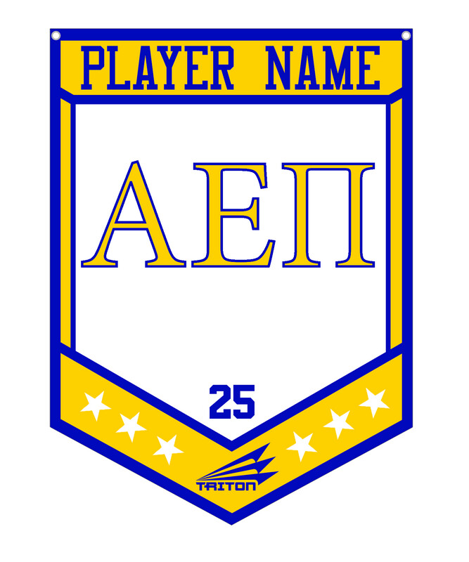 Alpha Epsilon Pi Custom Banner #CB1