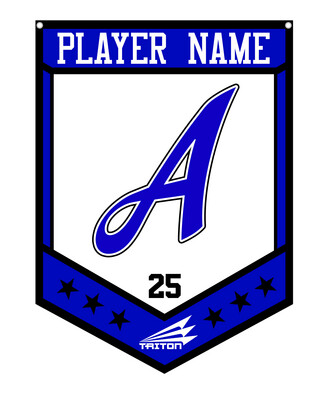 Auburndale Fastpitch Custom Banner #CB1