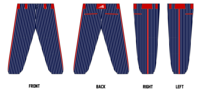 Mississippi Elite 2023 Custom Elite Softball Pant #FP3