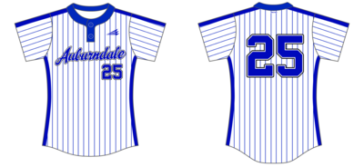 Auburndale Fastpitch Custom NanoDri Baseball Jersey #J2e