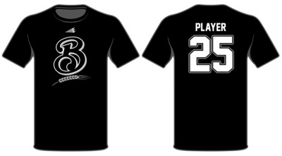 Brewer Baseball Custom HyperTee #HT1