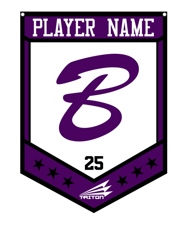 Michigan Blasters Custom Banner #CB1