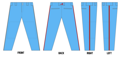 Steel Valley Expos Custom ProFit Baseball Pant #BP4D