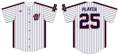 Houston Wildcatters Custom HexaFlex Baseball Jersey #J3