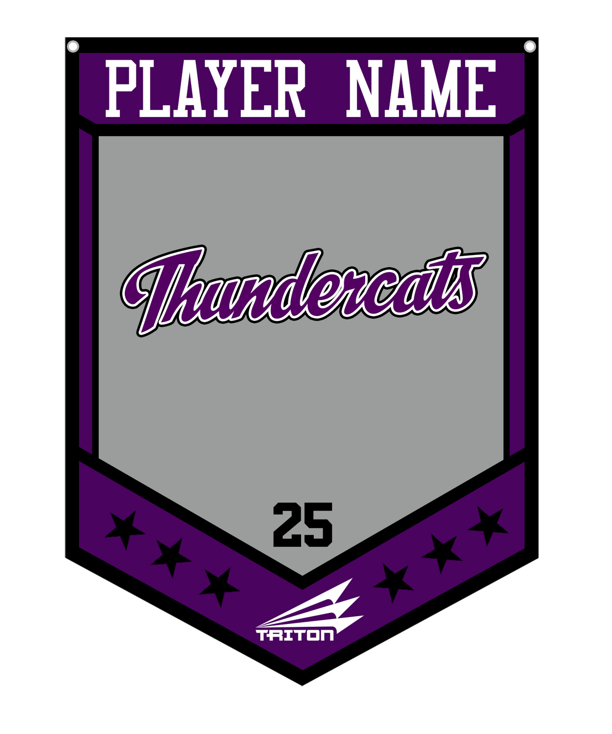 Thundercats (Chuku) Custom Banner #CB1