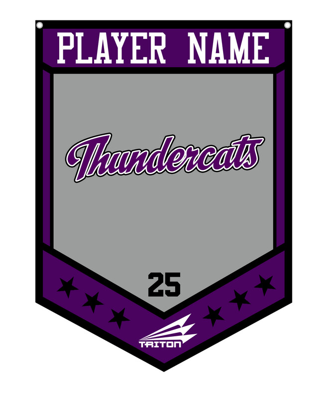 Thundercats (Chuku) Custom Banner #CB1