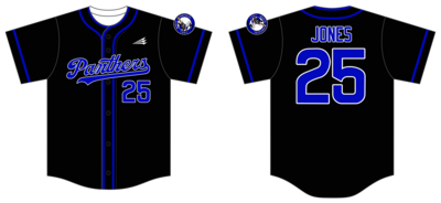 Fort Worth Panthers Custom NanoDri Baseball Jersey #J1C