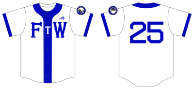 Fort Worth Panthers Custom NanoDri Baseball Jersey #J2