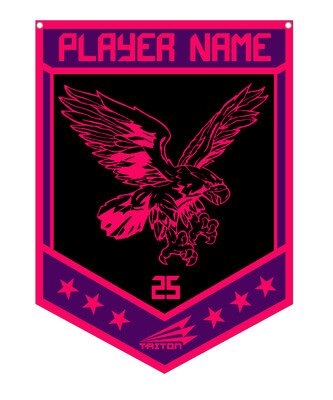 Citrus Lady Hawks Custom Banner #CB1