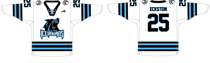 Dayton Icehounds Custom NanoDri Hockey Jersey #J5b